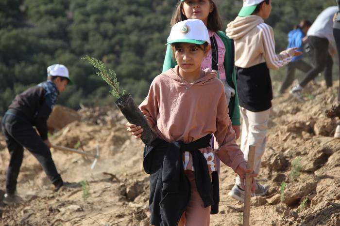 3 Ay Önce Yanan Ormanlık Alan Yeniden Ağaçlandırıldı