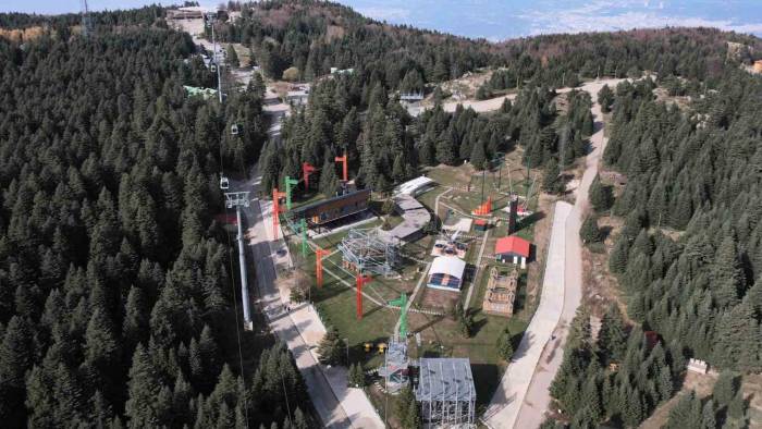 Uludağ’da Aç Kalan Ayılar Dükkanları Talan Etti