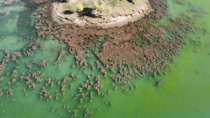 Depremde Toprak Kaymasının Yaşandığı Gölbaşı Gölü’nde Korkutan Görüntü