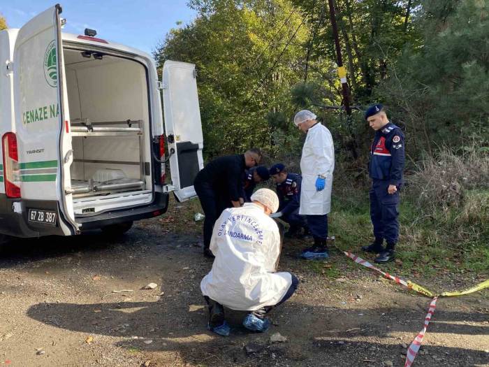 Ormanda Bulunan Cesedin Ardından 6 Şüpheli Gözaltında