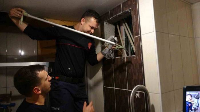 Havalandırmada Mahsur Kalan Güvercin İtfaiye Ekipleri Tarafından Kurtarıldı