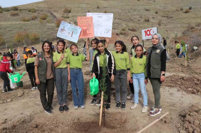 Siirt’te Binlerce Fidan Toprakla Buluşturuldu