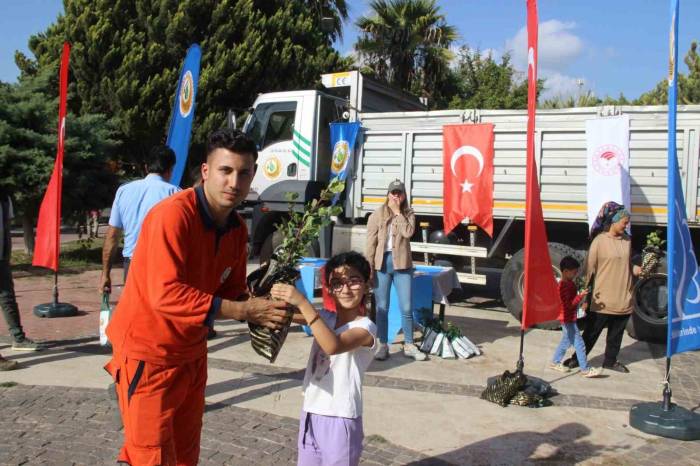 Bozyazı’da Vatandaşlara Ücretsiz Fidan Dağıtıldı