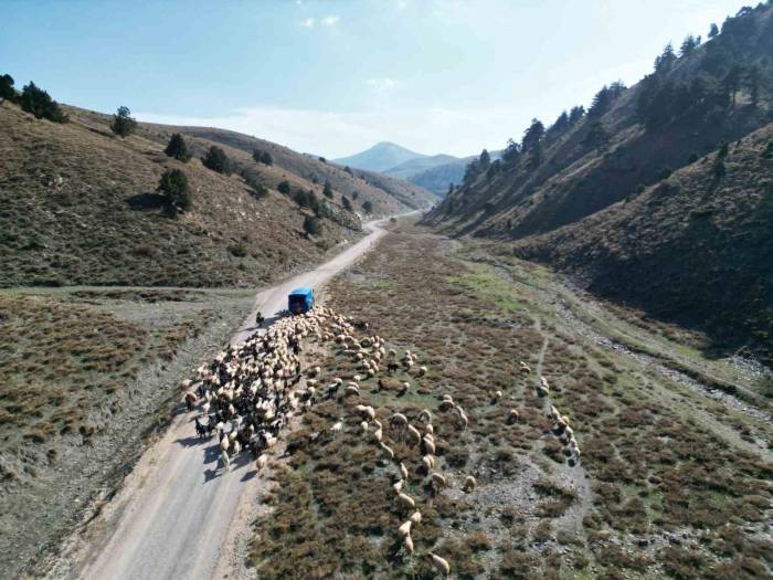 Konargöçerlerin Kış Öncesi Zorlu Göçü Başladı