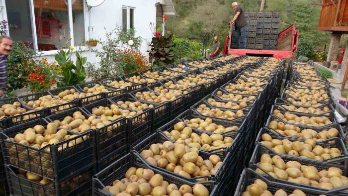 Hobi İçin Başlandı: Yıllık Getirisi 100 Milyon Tl