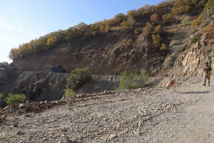 Diyarbakır’da 5 Taburdan Oluşan Timler Lice’de Terör Operasyonuna Çıktı