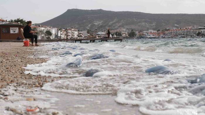 Denizanalarının Foça İstilası Havadan Görüntülendi