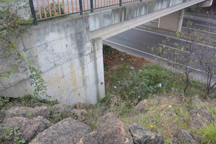 Ordu’da Şüpheli Ölüm: Arkadaşı Tarafından Hastaneye Kaldırılan Kadın Hayatını Kaybetti