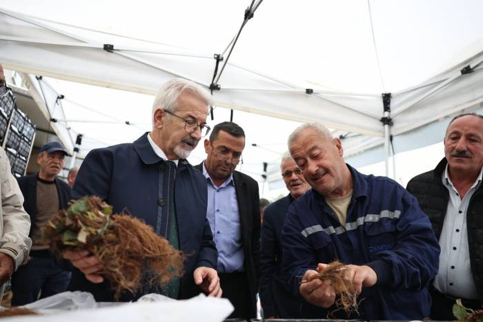 Nilüfer Belediyesi’nin Desteğiyle Çilek Üretimi Artıyor