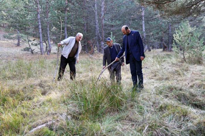 Sivas’ta Petrol Umudu, Adeta Her Yerden Çıkıyor