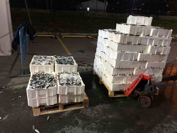 İstanbul’da Kaçak Avcılık Yapan 24 Kişiye 193 Bin 246 Tl İdari Para Cezası Kesildi