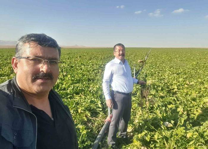 Karapınar’da Mısır Ve Şekerpancarı Mesaisi