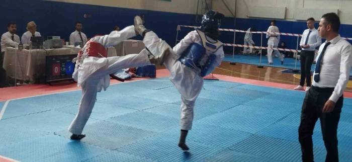 Nazilli’de Taekwondo Rüzgarı