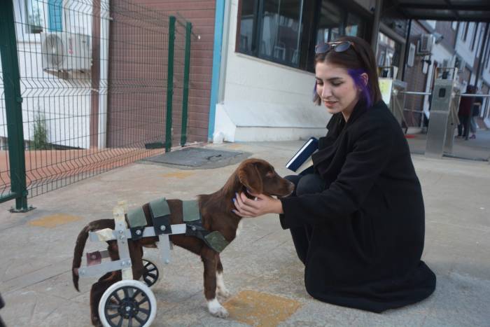Yurt Bahçesinde Kalan “Şanslı”, Öğrencilerin İlgi Odağı Oldu
