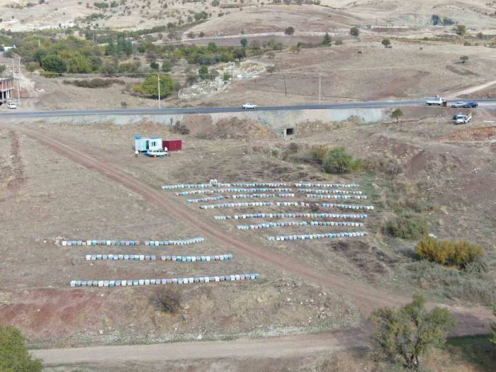 Diyarbakır’da Arıların ‘Tatlı Uykusu’ Başladı