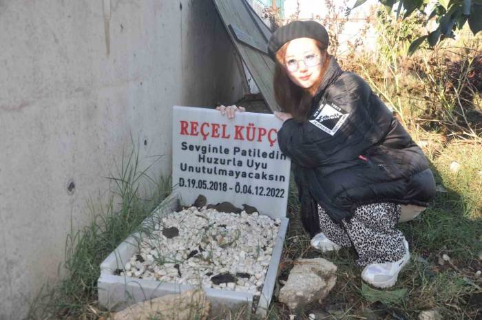 Hayvan Sevgisi Sınır Tanımadı: Japonya’dan Türkiye’ye Geldiler