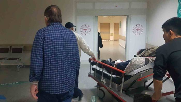 Sürüyü Otlatırken Ayı Saldırısına Uğrayan 2 Kişi Ölümden Döndü
