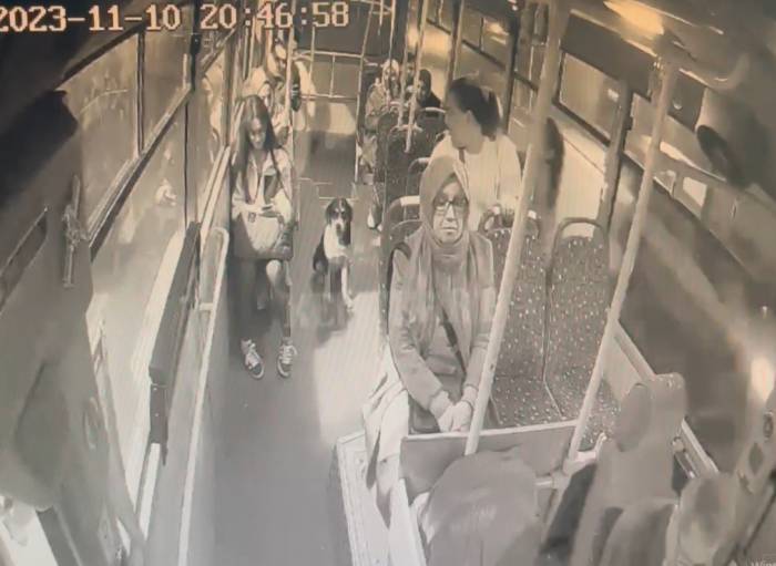 Bir Anda Bindi, Dakikalarca Yolculuk Yaptı