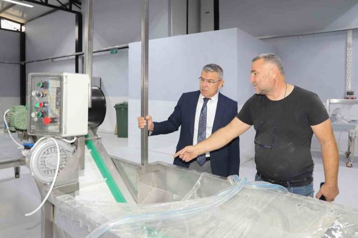 Köşk Belediyesi Kestane Tesisi, Açılmak İçin Gün Sayıyor