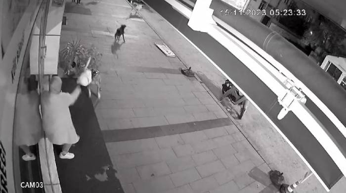 Dükkanı Açan Kadın Dehşeti Yaşadı: Köpekler İşte Böyle Saldırdı