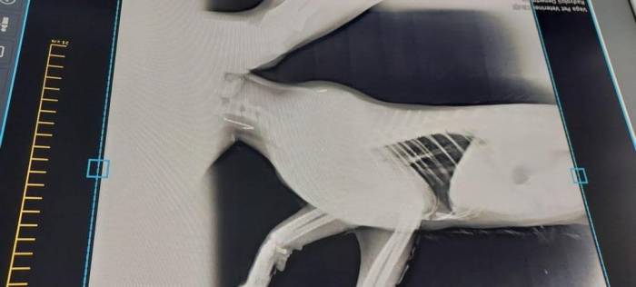 Çanakkale Belediyesi’nden Olta Balıkçılarına Uyarı