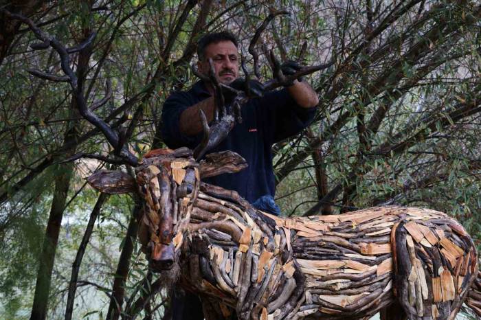 Kurumuş Ağaç Kökü Ve Dalları, Sanata Dönüşüyor