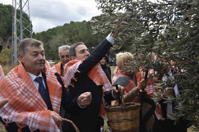 İzmir’de Zeytin Ve Zeytinyağı Sezonu Açıldı