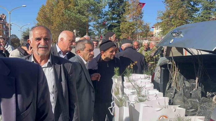 Camilerde Vatandaşlara 2 Bin Fidan Dağıtıldı