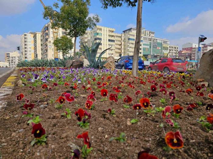 Mardin’de 110 Bin Çiçek Kavşak Ve Refüjlere Dikildi