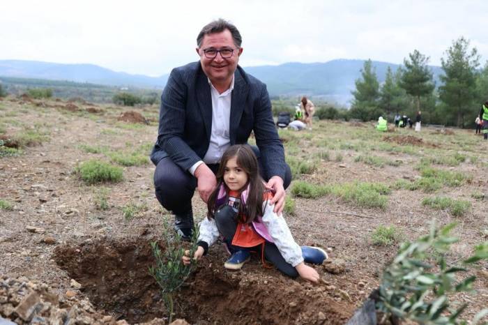 Tavas 100. Yıl Zeytinliğine İlk Fidanı Başkan İnamlık Dikti