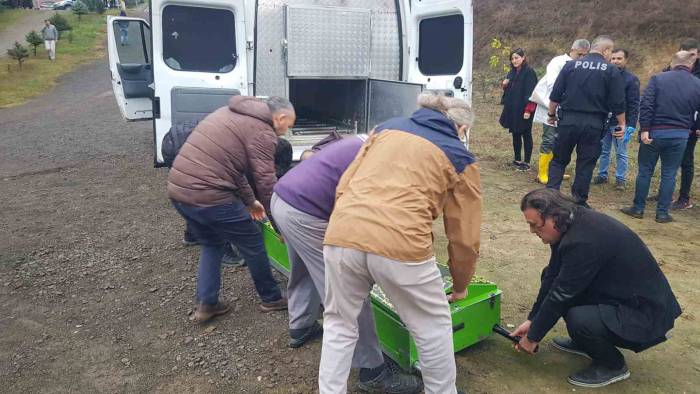 Öğretim Üyesi Hobi Bahçesinde Ölü Bulundu