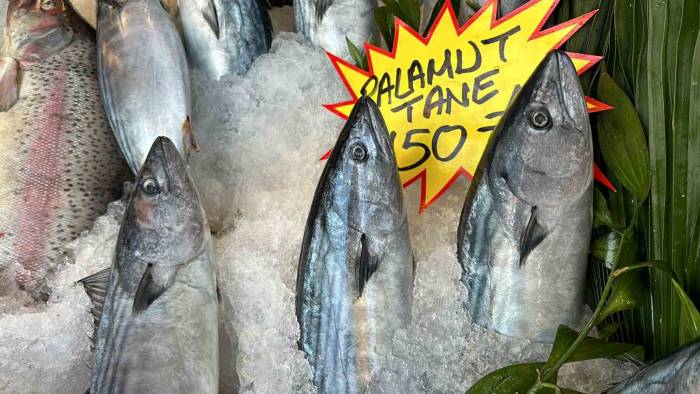 Palamut Az Da Olsa Tezgaha İndi