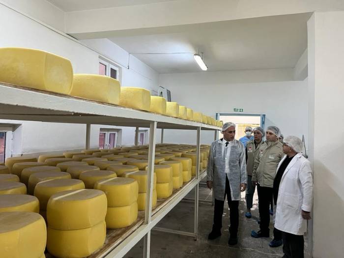 Kars’ta Süt İşletmeleri Denetlendi