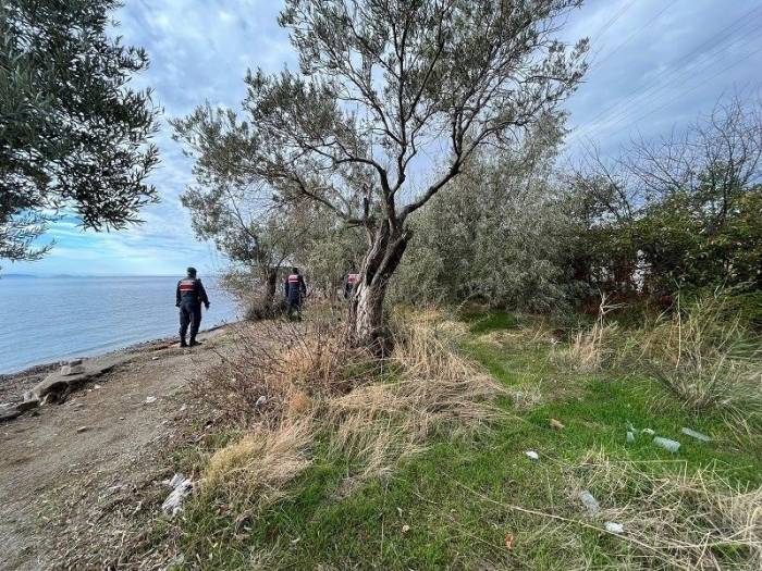 Balıkesir’de Düzensiz Göçle Mücadele İçin Huzur Operasyonu Yapıldı