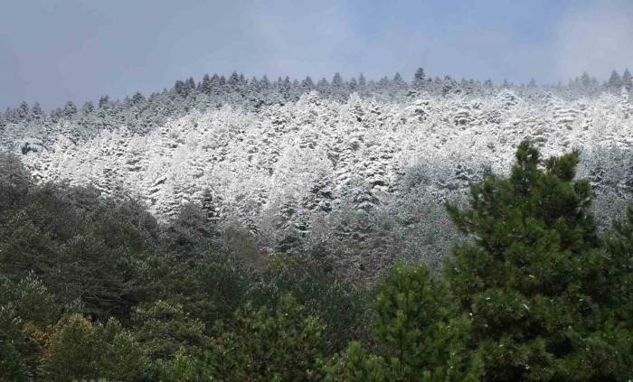 Kuzey Ege’de Mevsimin İlk Karı Yağdı