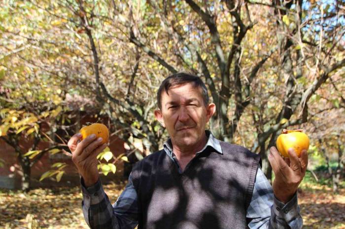 Yaşı 15, Kurusu 200 Lira