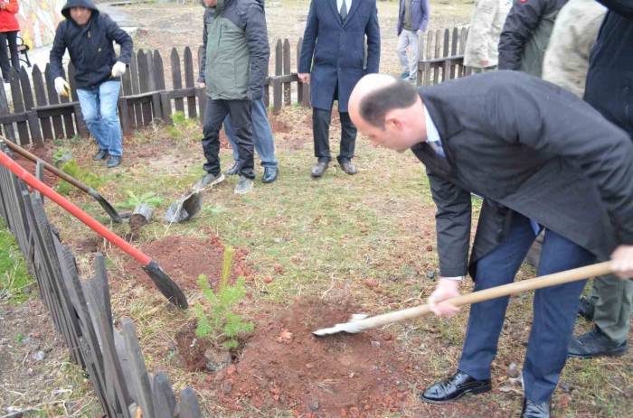 Kars’ta 52 Fidan Toprakla Buluştu