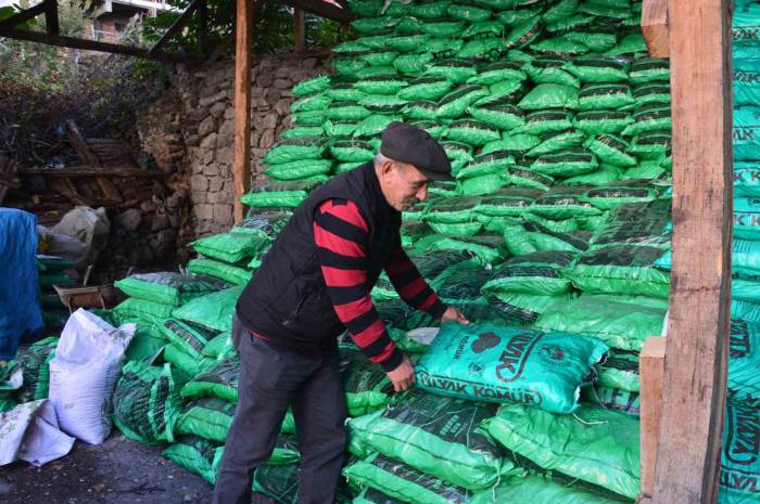 Soğuyan Havalarla Birlikte Kömür Satışlarında Artış Oldu