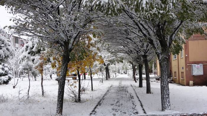 Bitlis’te Kar Yağışı