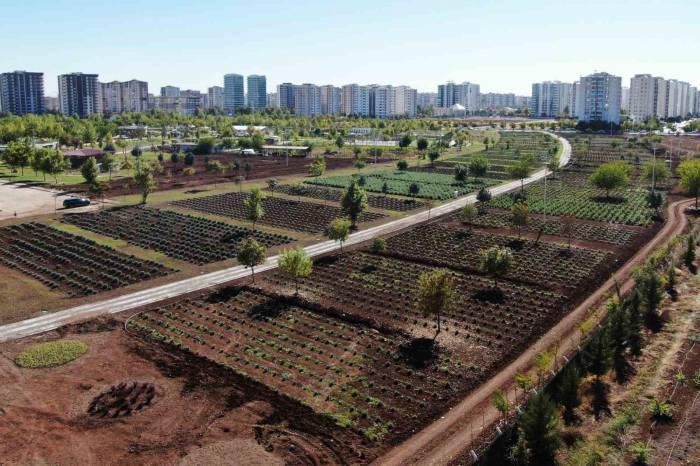 Diyarbakır’da Tıbbi Aromatik Bitki Bahçesi Şehre Güzel Koku Yayacak