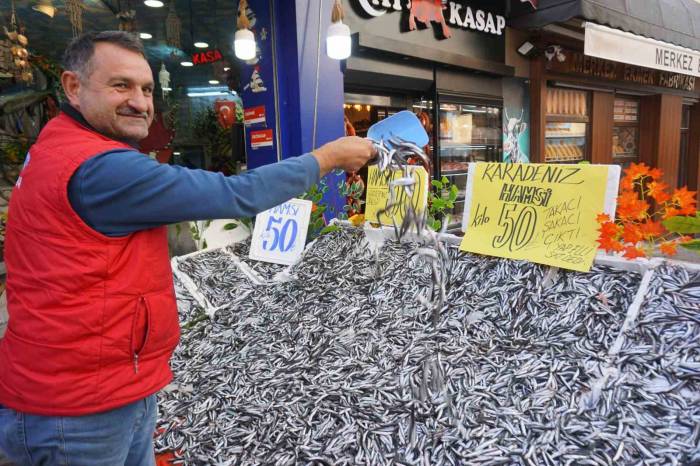 Hamsinin Fiyatı 50 Liraya Düştü, Tezgahlar Şenlendi