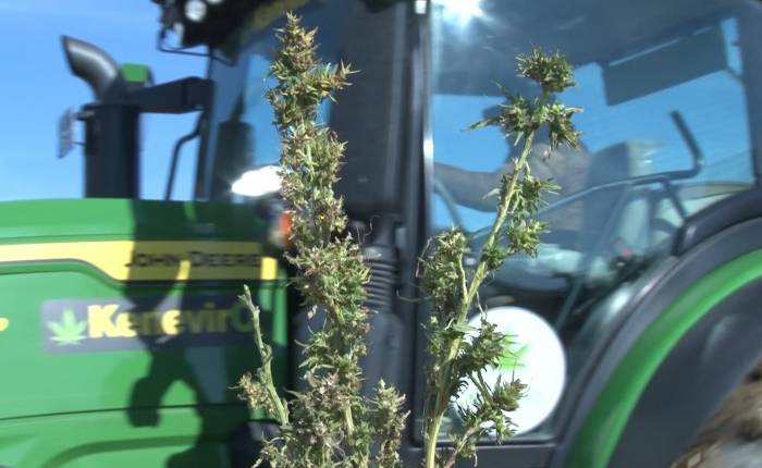 Kenevir Tekstil İhracatına Doping Etkisi Yapacak