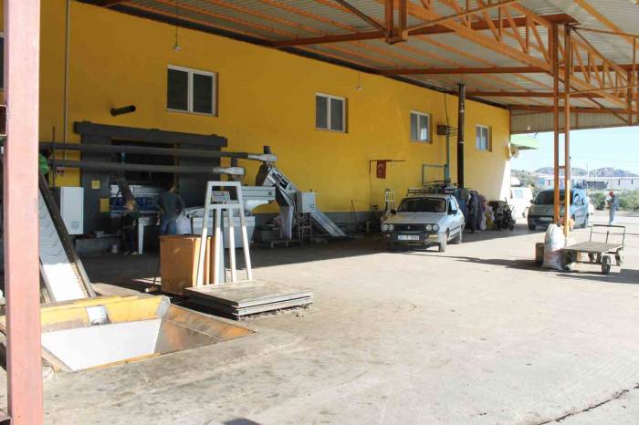 Zeytini Kuraklık Vurdu