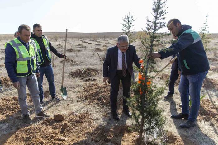 Başkan Büyükkılıç İle Kayseri’de 5 Yılda 549 Bin 735 Adet Ağaç Ve Çalı Toprakla Buluştu