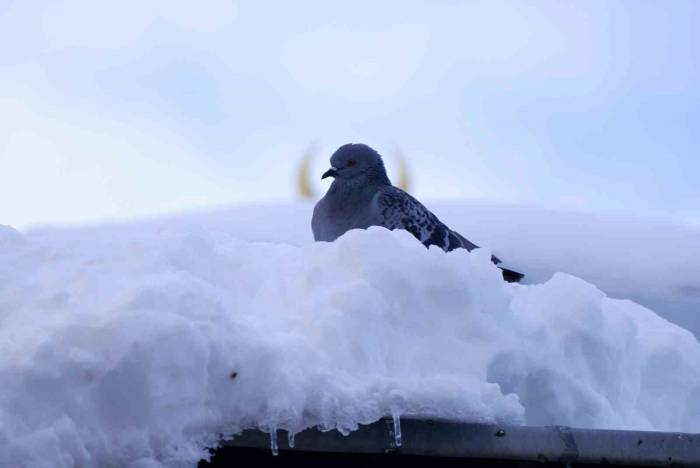 Palandöken’de Kar Kalınlığı 56 Cm Buldu, Termometreler -15’i Gösterdi