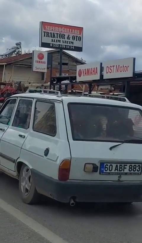 Bu Görüntüler Akıllara 21 Yıl Önce Otomobilin Arkasında Taşınan Dana Ferhat’ı Getirdi