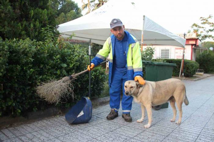 Her Gün Birlikte Mesai Yapıp, Birlikte Dinleniyorlar