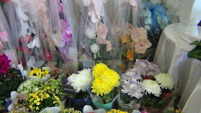 Kars’ta Çiçekler Öğretmenlere Hazırlanıyor