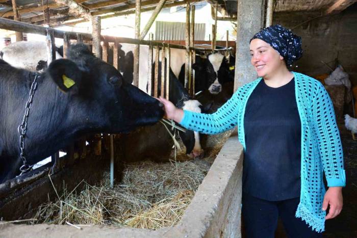 Engelli Ve Eski Hükümlü Hibe Desteği Başvuruları Başladı