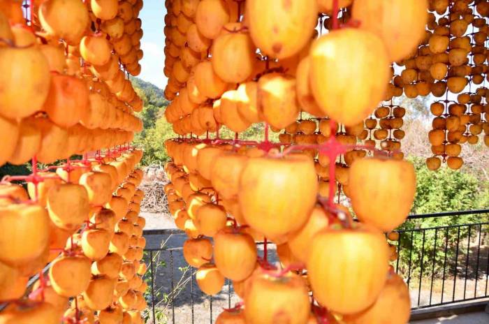 Kurutulunca Değeri 10 Kat Artıyor